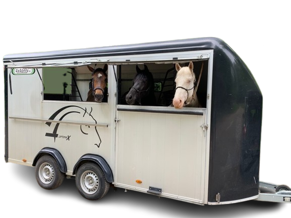 Trailer 4 paarden